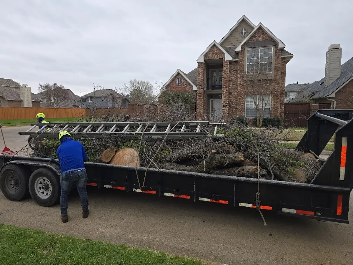 Expert Tree Fertilization with proper safety equipment in Killbuck